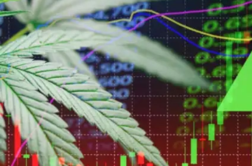 Trade of the Day: Buy Canopy Growth (CGC) Stock Call Options on Rescheduling News