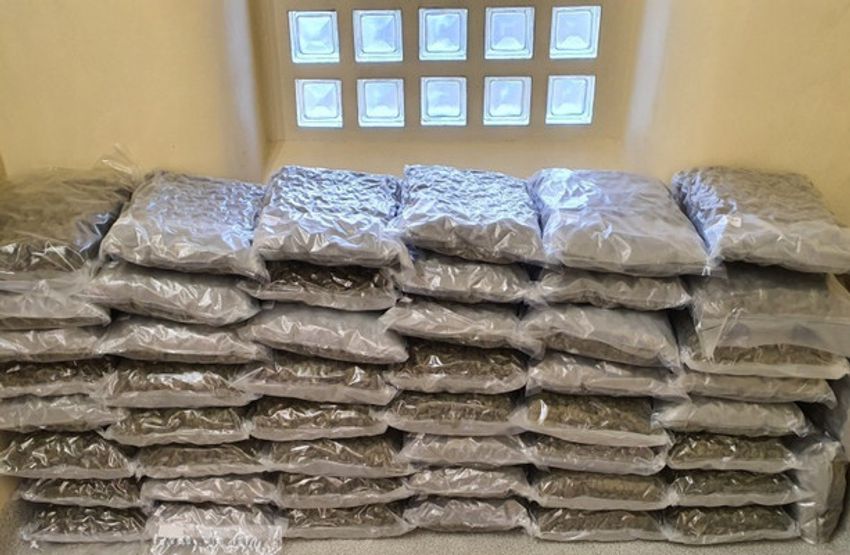  Suspected cannabis worth €1 million seized from Ashbourne warehouse