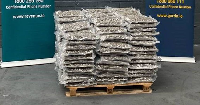  Two arrested after cannabis worth €2.1m seized