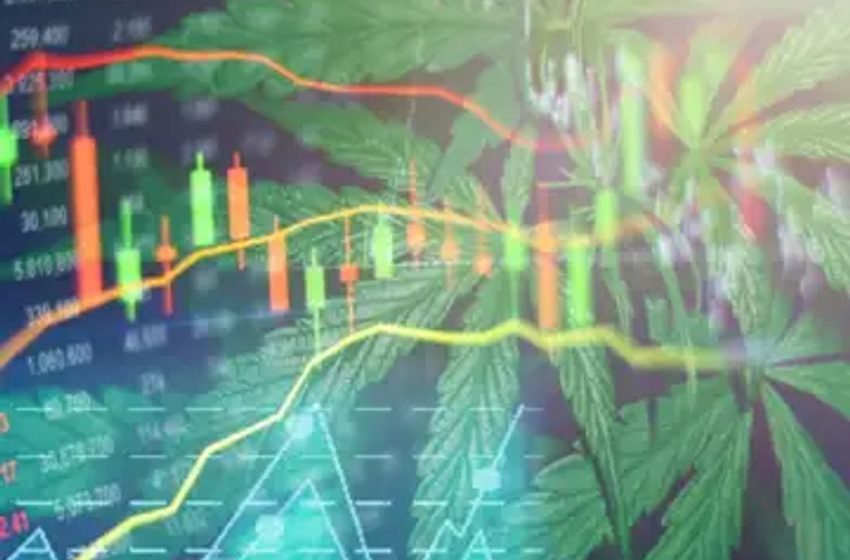  Trade of the Day: Bet on a Cannabis Rally with Village Farms (VFF) Stock