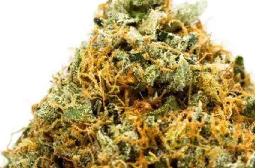  New Hampshire Senate Approves Recreational Marijuana Bill