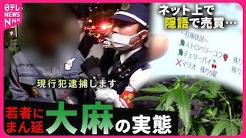  The Grim Reality of Marijuana Use in Japan