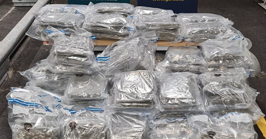  Cannabis: Almost €3.7 million worth of drug seized by gardaí in Wexford and Dublin