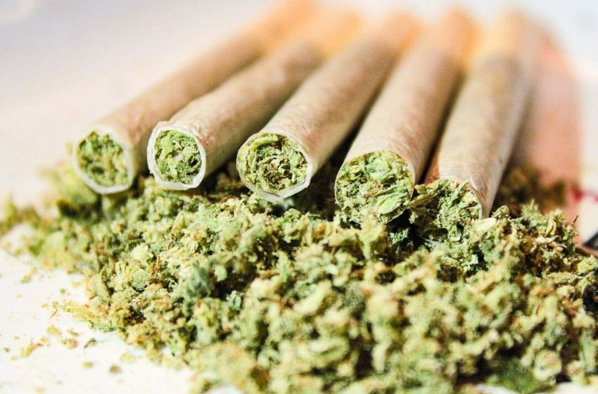  Cannabis Use Linked to Higher Risk of Severe COVID-19: Study