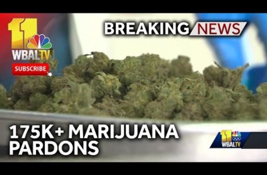  MD Governor Issues Mass Pardons For Marijuana Convictions Today