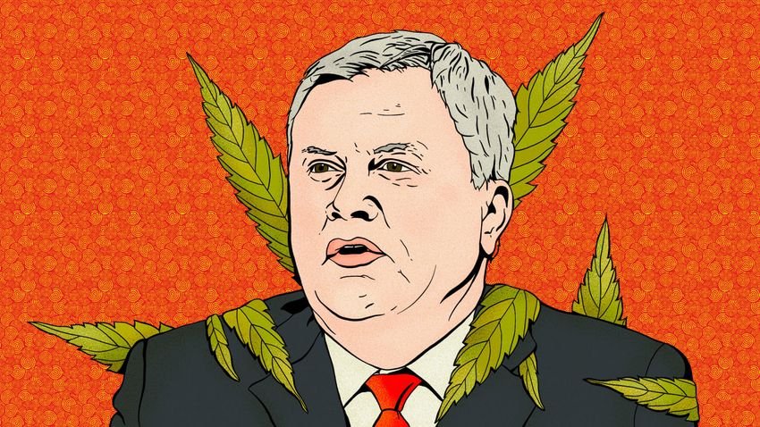  James Comer Helped a Donor Get Chinese Hemp. What They Got Tested as Marijuana (Roger Sollenberger/The Daily Beast)