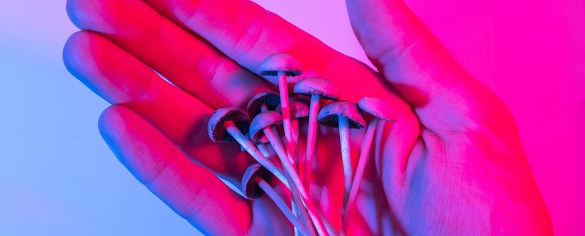  An Alarming Thing Happens Whenever Magic Mushrooms Are Decriminalized