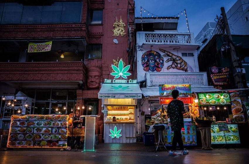  Marijuana was supposed to help Thailand. Why is the country planning to ban it again?