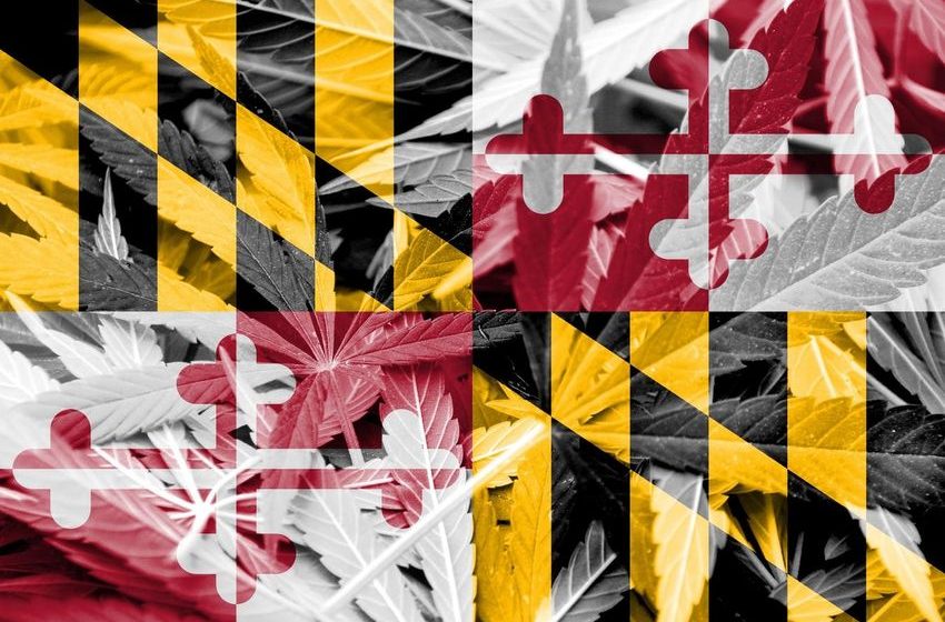  Maryland Marijuana Pardons: Impact On Employers & Job Candidates