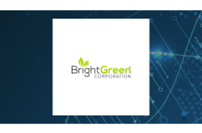  Pervasip (OTCMKTS:PVSP) and Bright Green (NASDAQ:BGXX) Financial Review