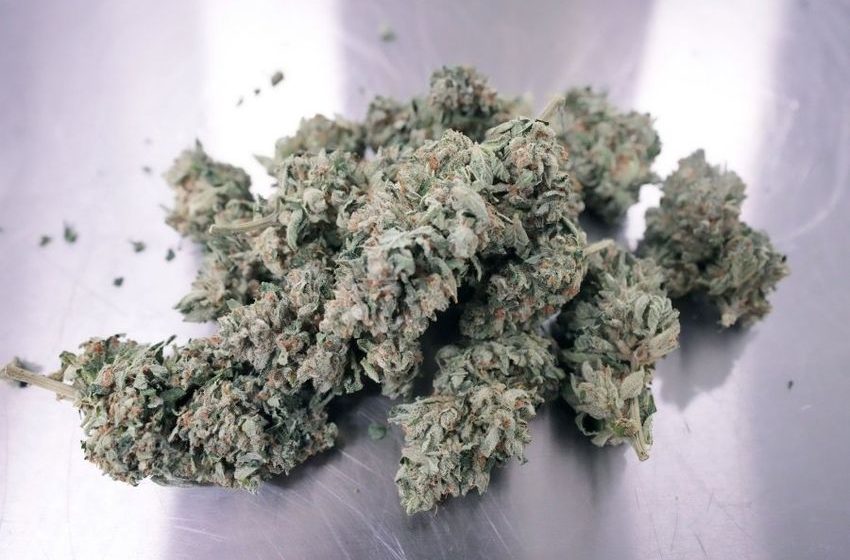  Kentucky to accept medical marijuana dispensary applications