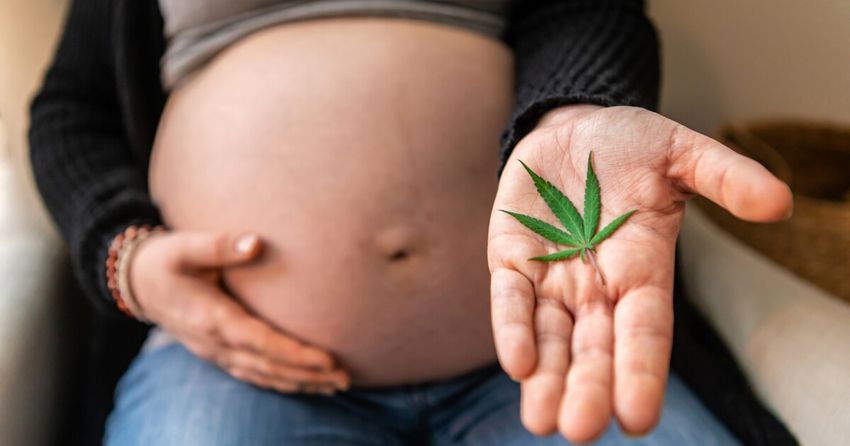  CBD use during pregnancy produces strange behavior in offspring