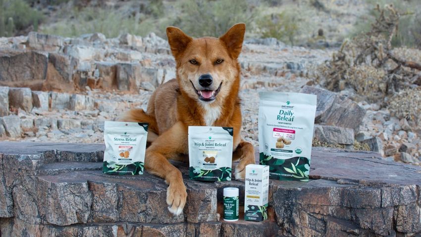  Keep Your Pup Relaxed This Fourth of July With Pet Releaf’s Calming Dog “Edibles”