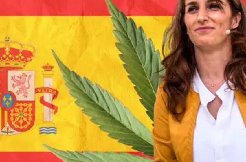  One Spanish Politician Calls Cannabis ‘The Most Dangerous Of Drugs’ While Another Defends It, Pushes Tougher Alcohol Laws
