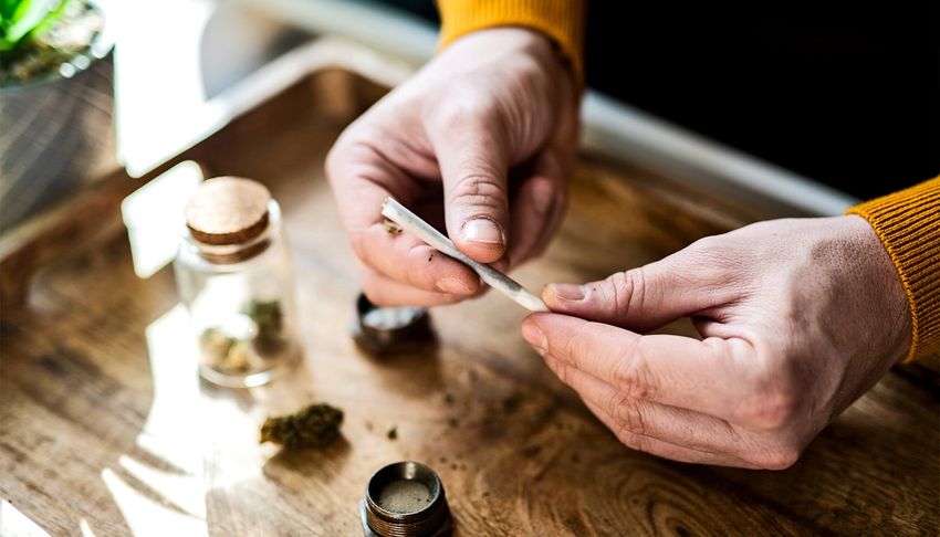  Cannabis use tied to greater risk of severe COVID