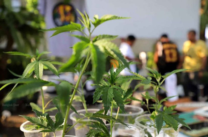  Weed treatment costs jump to B20bn: Ministry