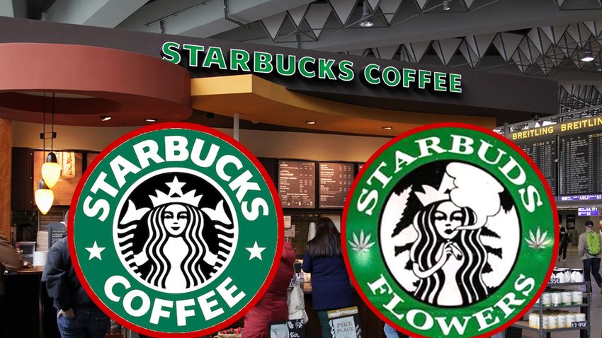  Starbucks Sues Starbuds Flowers, Claims Weed Business Copying Logo