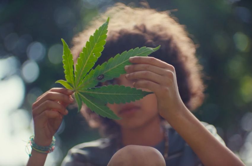  New Trailer for ‘Grassland’ Film About Marijuana Starring Mia Maestro