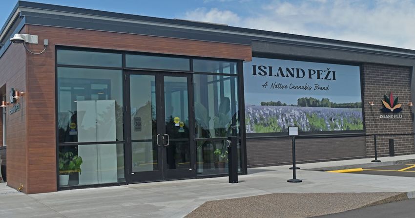  Minnesota tribe opens cannabis dispensary near Treasure Island Casino