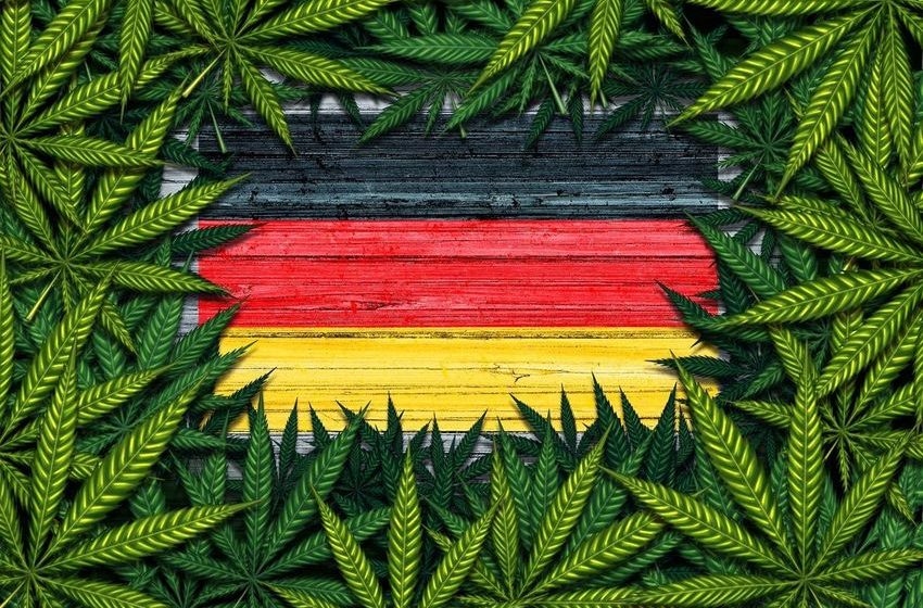  Bloomwell Group Launches Germany’s Largest Medical Cannabis Platform