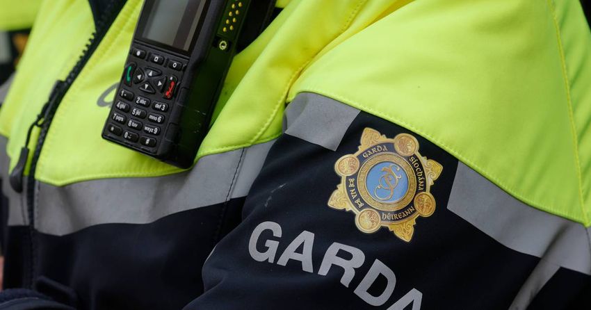  Two arrested following €1.25m cannabis seizure in Kildare