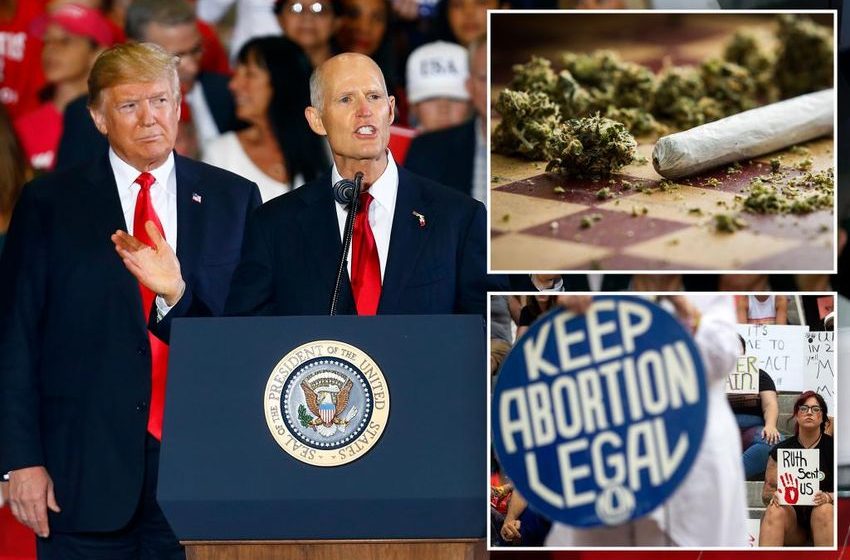  Schizoid state? Florida wants Donald Trump and Rick Scott — but also abortion rights, legalized weed: poll