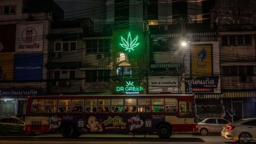  Thailand to legislate medical marijuana, signals no re-criminalising