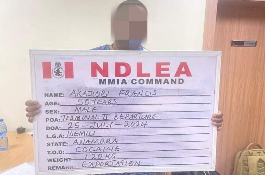  PICTORIAL: NDLEA arrests Spain-bound businessman with cocaine in sandals, destroys cannabis farm