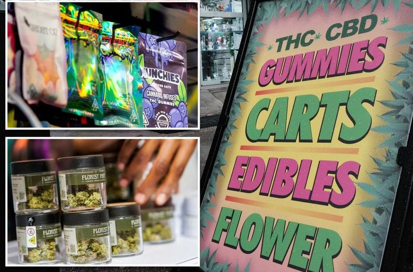  New York cannabis shops can offer discounts on pot to students, seniors and vets under new proposal