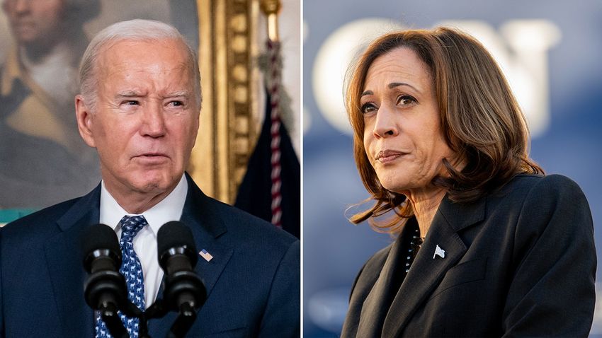  Potential Harris White House murky as VP ‘never exhibited a core set of beliefs’: Dem strategist