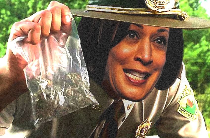  Our Best Reporting on Cannabis Cop Kamala