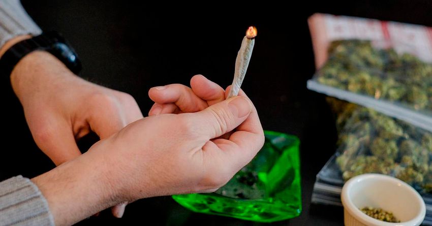  People caught with cannabis three times more likely to be prosecuted than to receive Garda caution