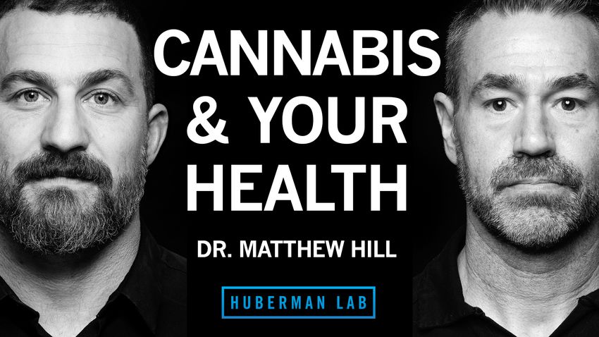  Dr. Matthew Hill: How Cannabis Impacts Health & the Potential Risks