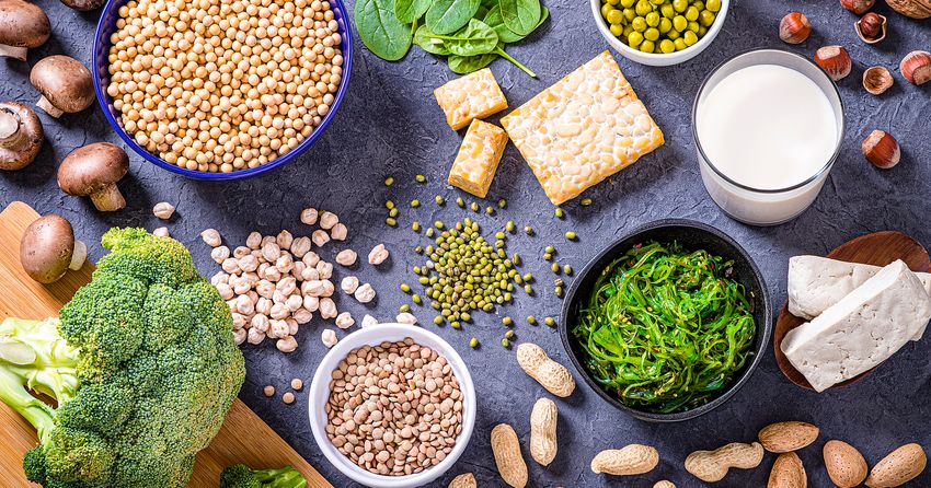  The 12 Plant-Based Protein Sources That Belong on Your Plate, According to a Dietitian