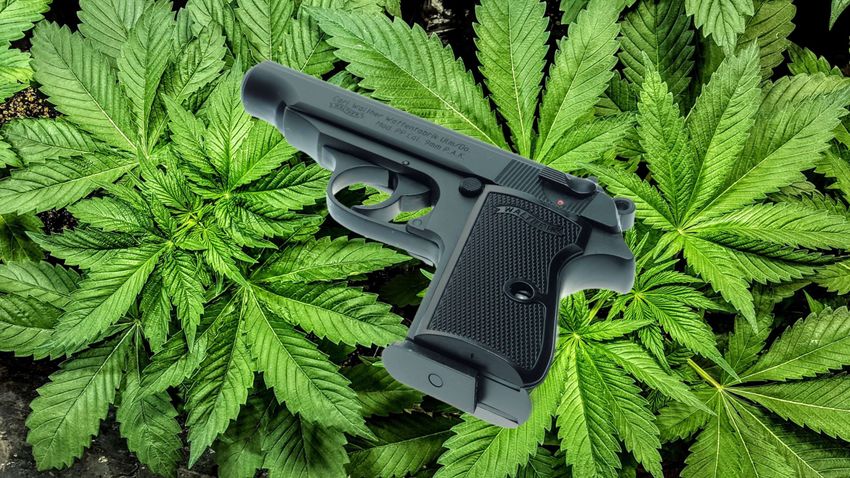  The DOJ Claims Medical Marijuana Patients Who Own Guns ‘Endanger the Public in Multiple Ways’