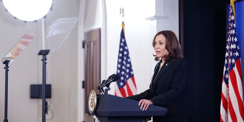  Here’s where Kamala Harris stands on the issues, from the economy to healthcare