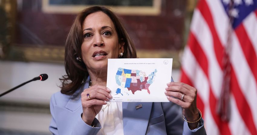  Where Kamala Harris stands on five crucial issues