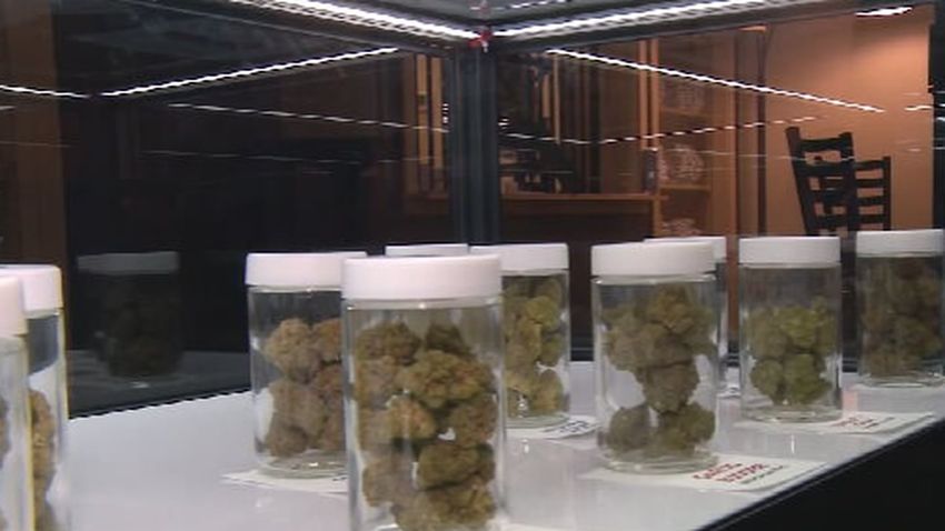  Pittsburgh councilwoman proposes bill that would protect medical marijuana cardholders