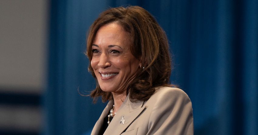  The Democrats who could be Kamala Harris’ running mate — or challenge her for the nomination