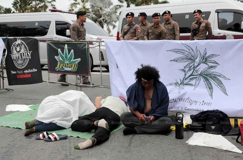  Critics slam govt’s approach to weed