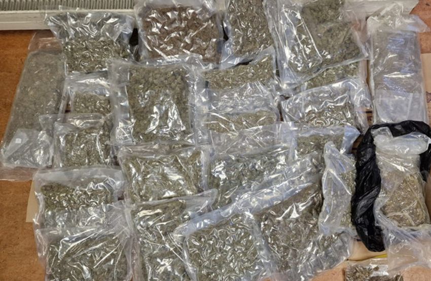  Man arrested after €320,000 worth of cannabis seized in Co Wicklow