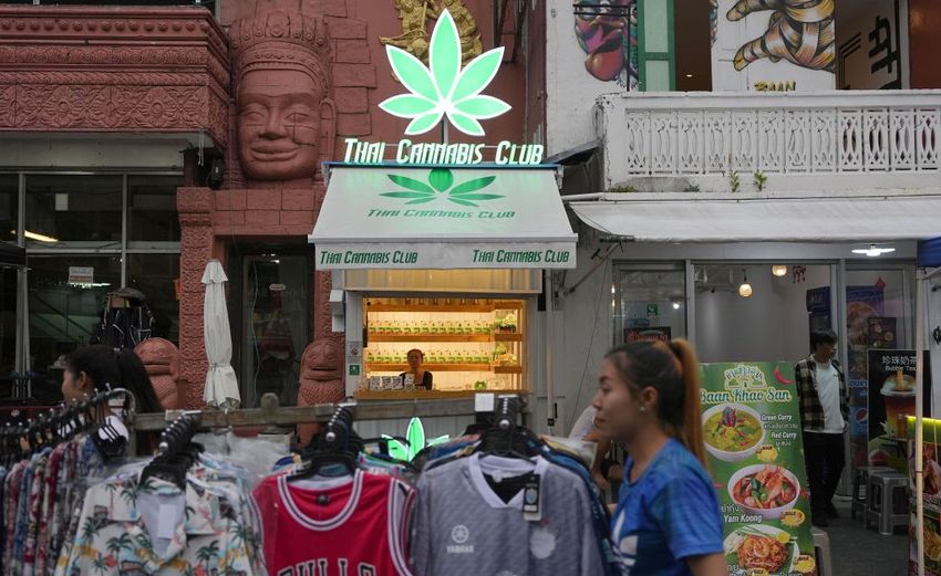  Thailand Considers Regulating Cannabis Instead of Recriminalizing It