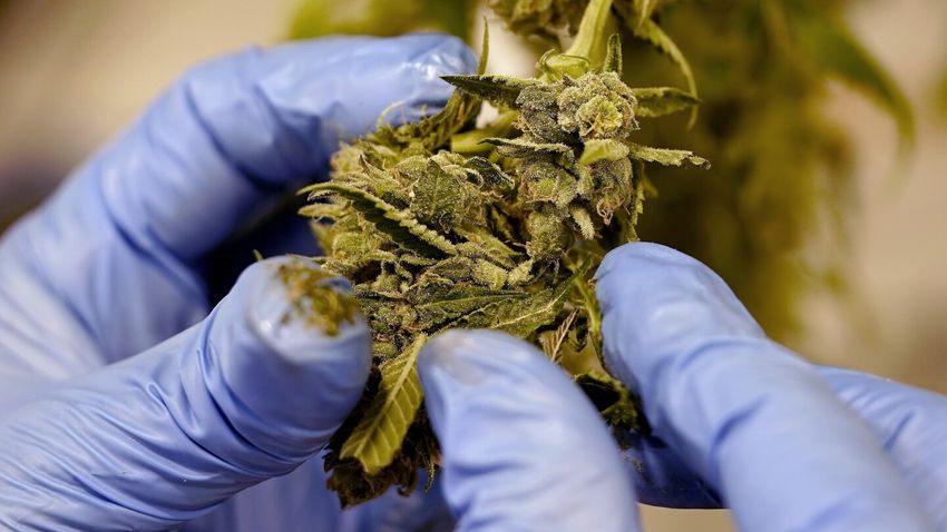  Kentucky Gov. Andy Beshear endorses federal effort to reclassify marijuana as a less dangerous drug