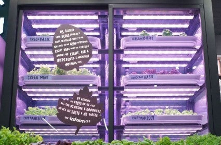  Can vertical farming ever become mainstream?