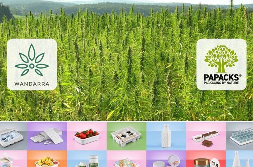  Biodegradable Hemp-Based Packagings – Two Packaging Companies are Partnering to Reduce Plastics (TrendHunter.com)