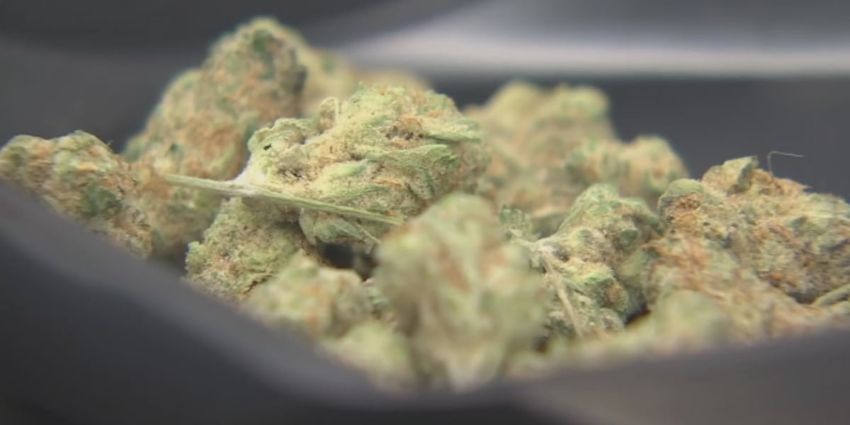  Health bulletin issued for dozens of products sold in Nevada dispensaries