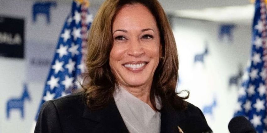  Kamala Harris to begin battleground tour next week – with running mate: report