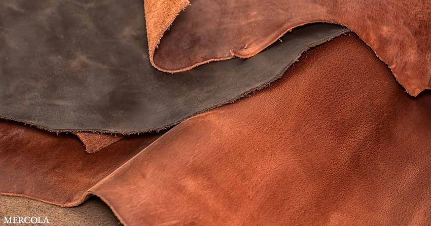  What Dangers Are Lurking in Leather?