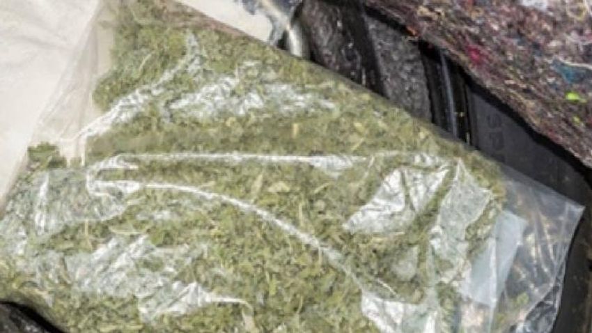  One held with cannabis worth Rs 14 lakh in Tripura