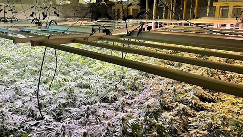  Utility company’s proposal to rat out hidden marijuana operations to police raises privacy concerns